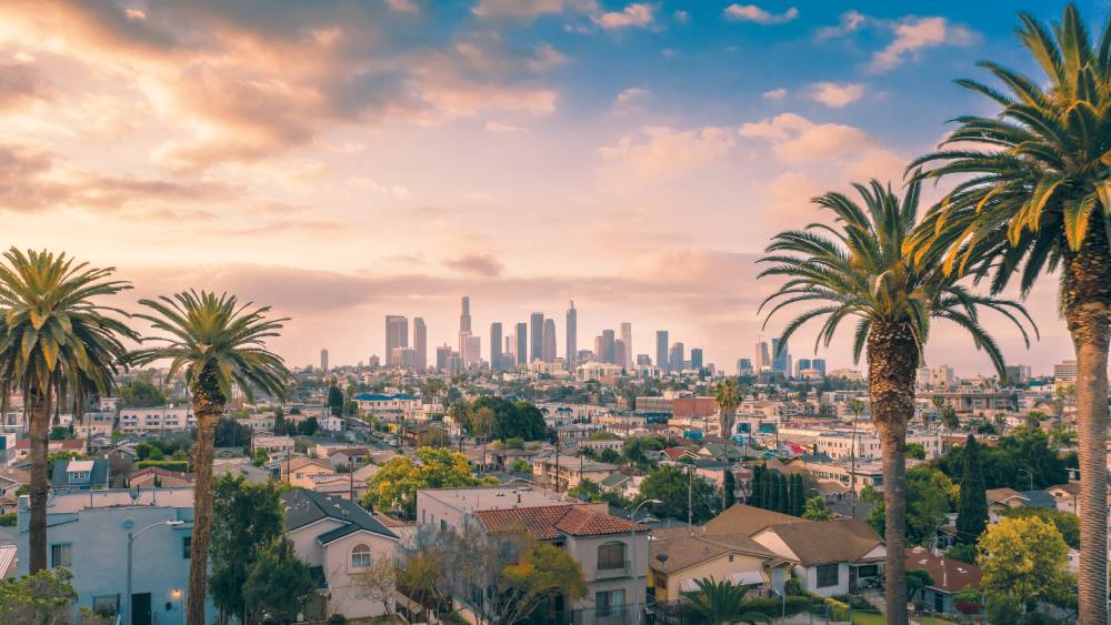 View of city of los angeles with palm trees