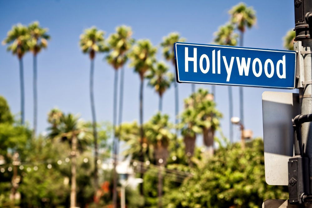 Street sign reads “hollywood” with palm trees in background